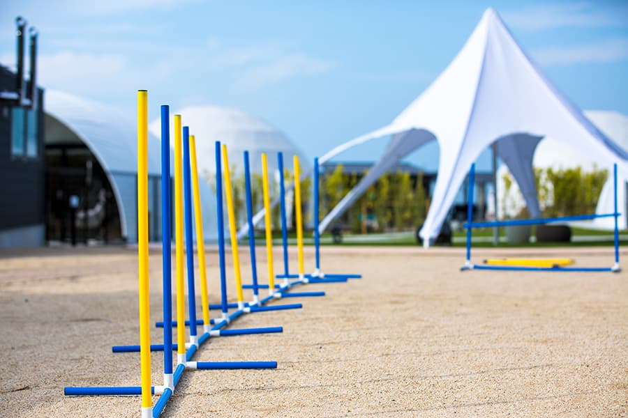 お部屋『ドッグガーデン』